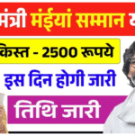 मंईया सम्मान योजना 16वीं किस्त 2025 में महिलाओं को ₹2500 की राशि मिलते हुए झारखंड सरकार की योजना का प्रतीकात्मक चित्र